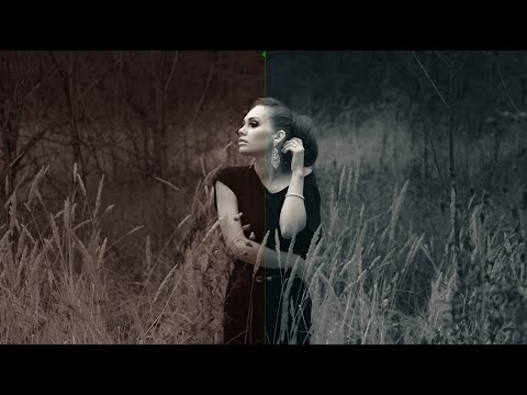 Darktable Episode 86: Split-toning and other requests part 2