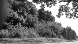 Directions to Mississippi Fred McDowell's grave in Como, MS You Gotta Move