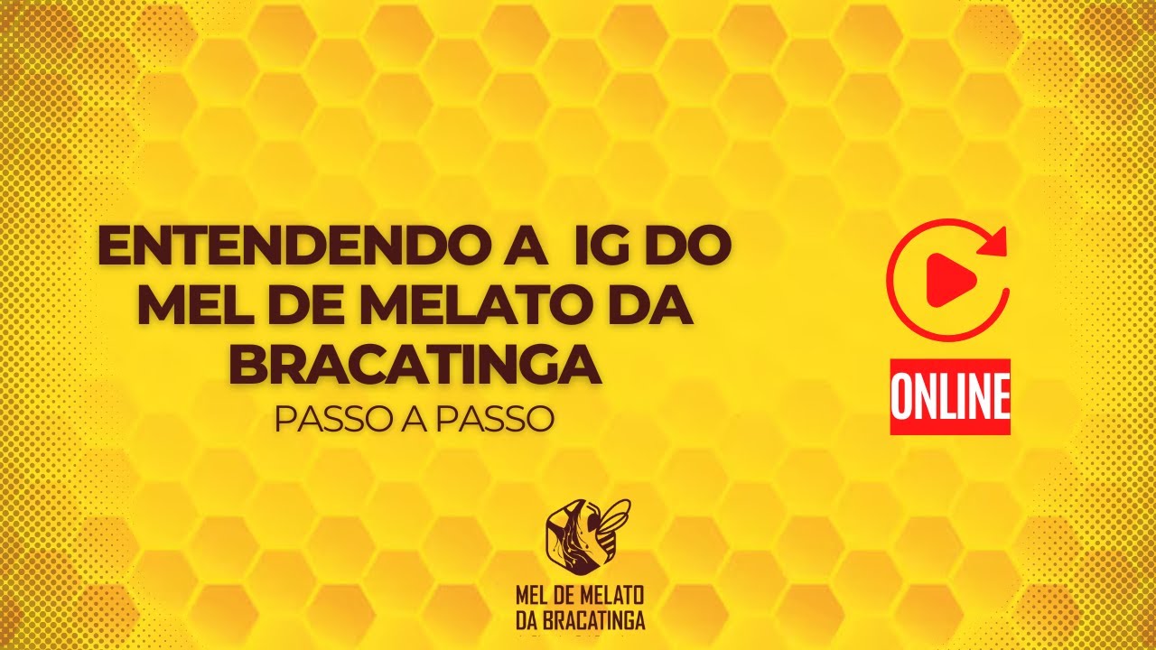 Entendendo a IG do Mel de Melato da Bracatinga passo a passo