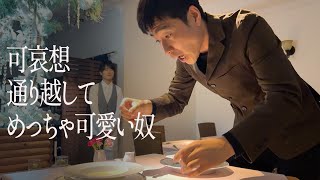 可哀想通り越してめっちゃ可愛い奴