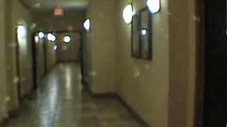preview picture of video 'Tampa Condo for Rent 1BR/1BA by Tampa Property Management'
