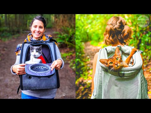 Best Cat Backpacks in 2022 -  Top 7 Best Cat Carrier Backpacks