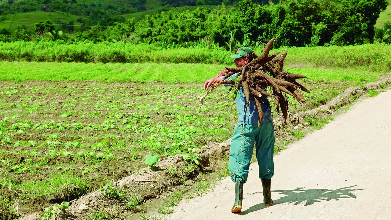 Agricultura familiar