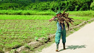 Agricultura familiar