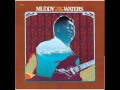 Muddy Waters - Unk in Funk