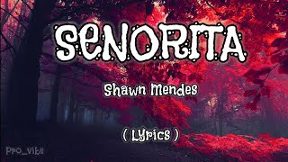 Senorita - Shawn Mendes | Lyrics video | English song