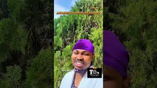 AWAKEN TO YOUR CREATIVITY