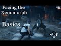 DBD: Basics of facing the Xenomorph [Guide] (7.2.0 PTB)