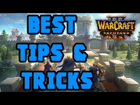 Warcraft3 - 5 Best Tips & Tricks for Beginners