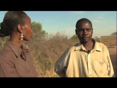 BRINGING THEM BACK 25.03.13