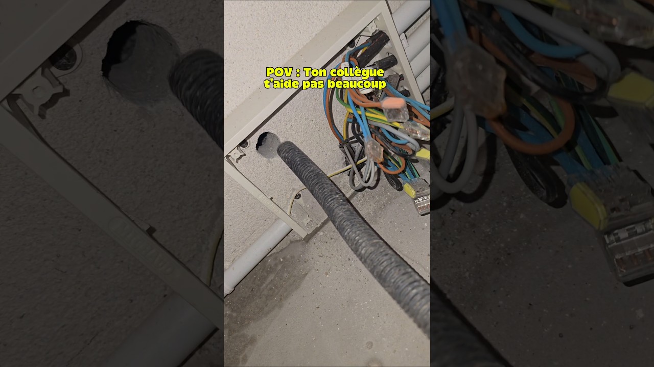 Vous aussi vous avez un collègue un peu boulet ? #lesdisjonctes #electrichien #electricien