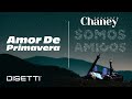 Conjunto Chaney - Amor De Primavera | Salsa con Letra Romantica