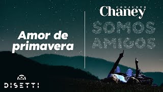 Conjunto Chaney - Amor De Primavera | Salsa con Letra Romantica
