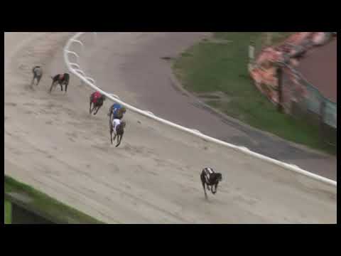 AAYAMZA ROYALE Monmore May 8 TR