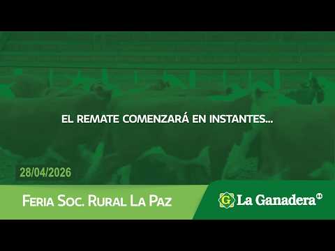 Remate de Hacienda Coop. LA GANADERA -  Gral. Ramírez -  Martes 28 de Abril de 2026.