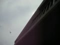 Real Angry Birds The Battle Must Watch The End