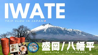 岩手旅行2泊3日【盛岡/八幡平】過酷で楽しいわんこ蕎麦体験!おすすめホテル/ グルメ/ 観光スポット