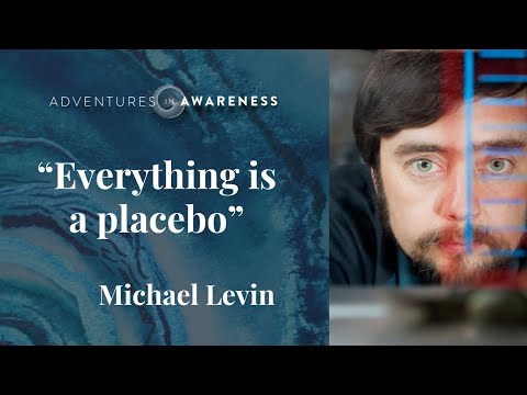 Michael Levin: Alles ist ein Placebo