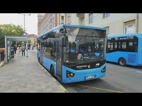 Busszal a Budai Várban... Utazós vlogok 155.rész