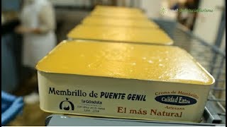 preview picture of video 'Fábrica de Membrillo La Gondola, Puente Genil (Córdoba)'