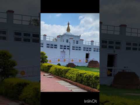 Maya Devi Temple! Lumbini, 🇳🇵Nepal#travel