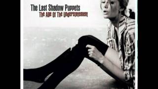 Black Plant - The Last Shadow Puppets