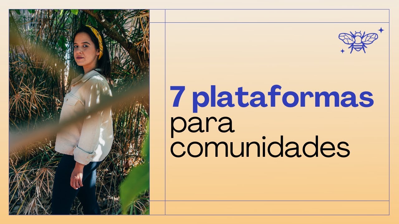 Plataformas para criação e gestão de comunidades