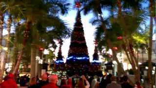 preview picture of video 'Village of Gulfstream festival of lights'