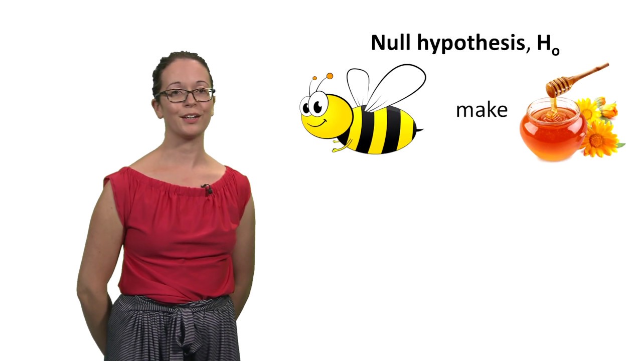 Null and alternative hypotheses with Lindsey Leach