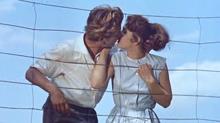 Die Sünderin vom Fernerhof / Der Meineidbauer (1956) DEUTSCH TRAILER