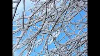 Hobbit - The Christmas Song