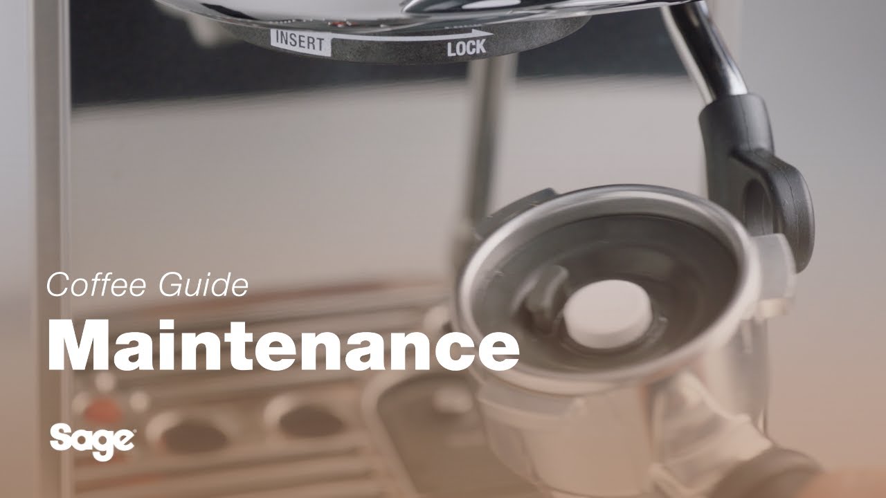 How to perform a cleaning cycle 