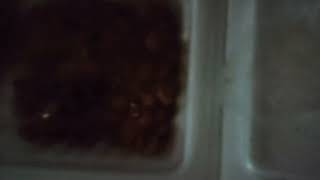 飯_127