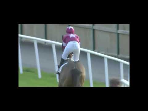 Notebook gewinnt Gr I in Leopardstown