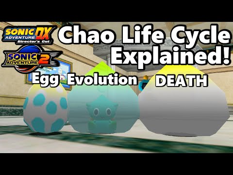Chao Life Cycle Explained! (Sonic Adventure DX and Sonic Adventure 2 Battle)