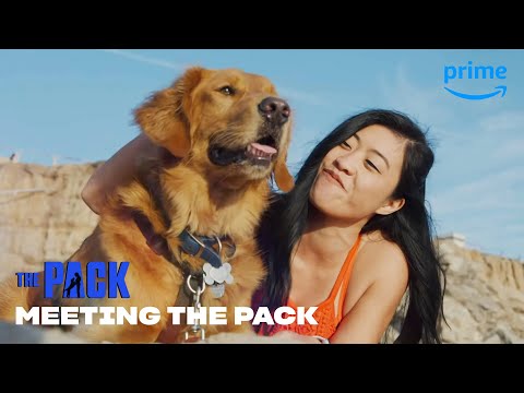 隊員們的見面會 | Prime Video (Meet the Teams from The Pack | Prime Video)