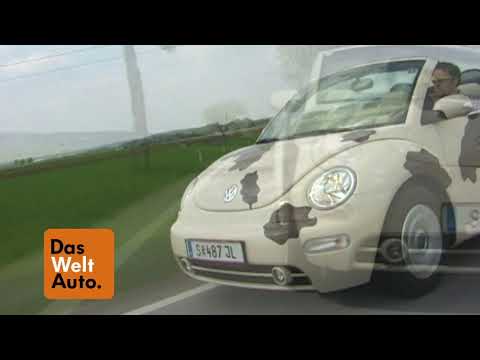 Damals & Heute: Das VW New Beetle Cabrio