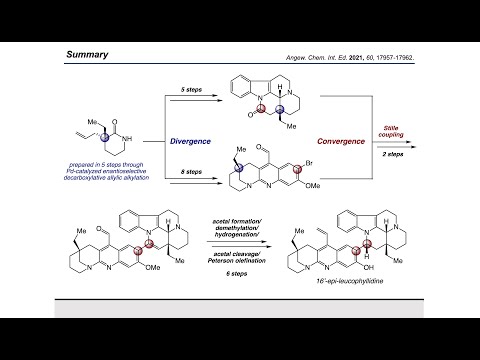 Synthesis Workshop: Total Synthesis of Leucophyllidine with Dr. Aurapat Ngamnithiporn (Episode 64)