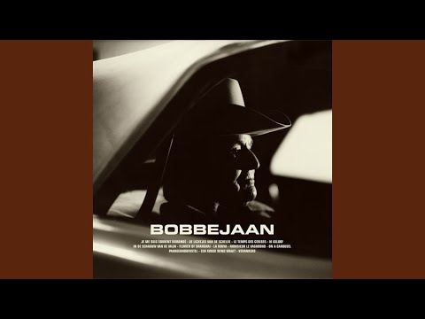 De Lichtjes Van De Schelde