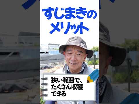 庭、鉢、温室に大根をいつどのように播種するのですか？  庭園