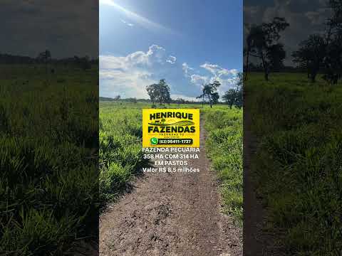 Fazenda no Tocantins #pecuarista #gado #agro #agricultura #fazenda
