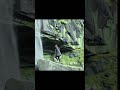 Travel WhatsApp Status Tamil Explore Nature Bike Ride