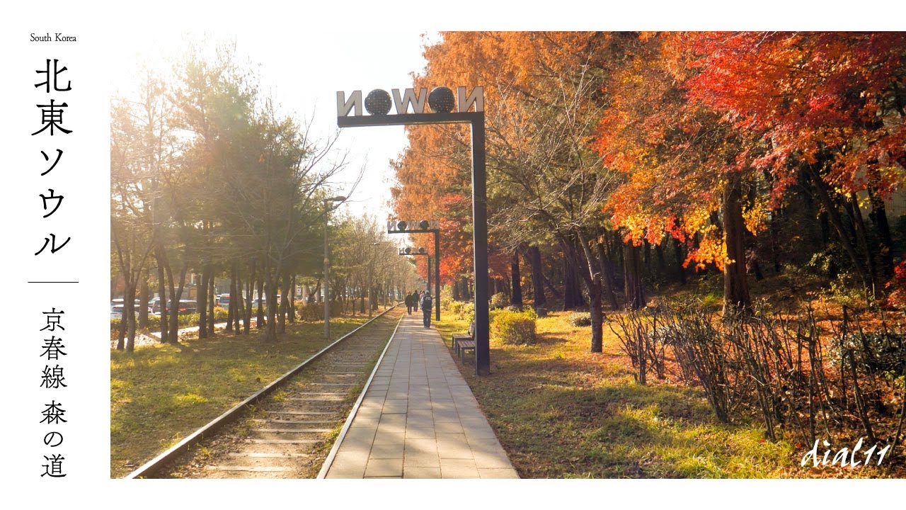 秋の終わりに歩く北東ソウル、線路の道。｜韓国｜京春線 森の道