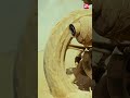 Mass Mahesh Babu Khaleja Maheshbabu Prakashraj Anushka Sun NXT Telugu