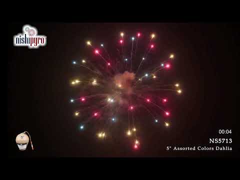 NS5713 - Assorted Colors Dahlia