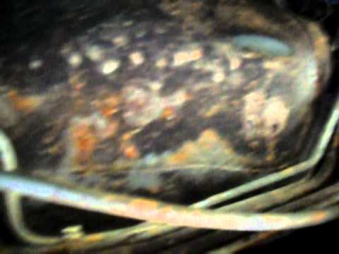 JEEP slave cylinder/ clutch problem