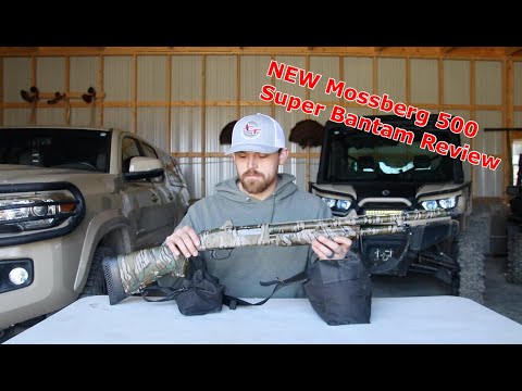 A Good Looking Shotgun