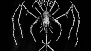 GRAV - Beast be my Shadow of Night