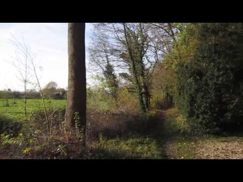 V-Log 14-47 - Neffelbach südlich Nörvenich