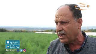 خبرني ترصد معاناة مزراعي الاغوار الشمالية في محافظة اربد